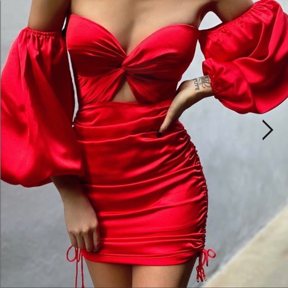 Runaway the label dress- puff off the shoulder sleeves.